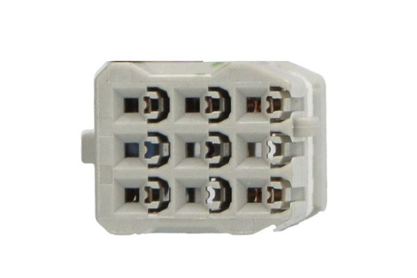 Blic Buitenspiegel 5402-18-2119310P