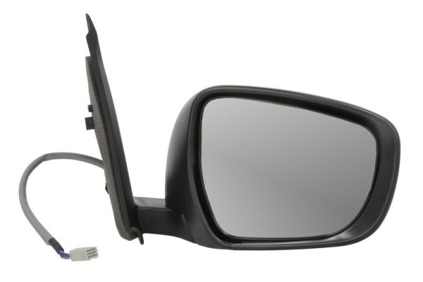 Blic Buitenspiegel 5402-18-2119311P