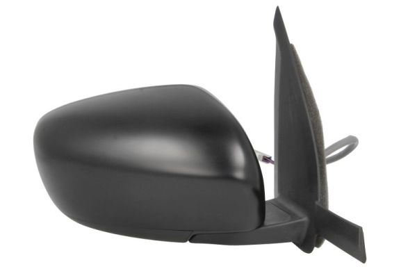 Blic Buitenspiegel 5402-18-2119311P