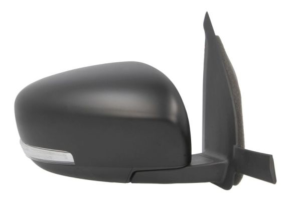 Blic Buitenspiegel 5402-18-2119313P