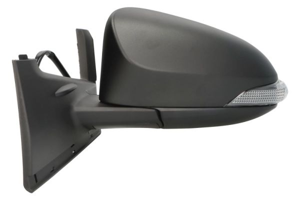 Blic Buitenspiegel 5402-19-1491316P