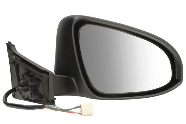 Blic Buitenspiegel 5402-19-1491317P