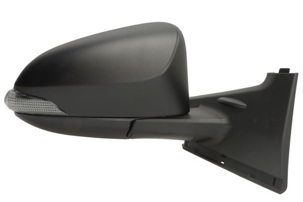 Blic Buitenspiegel 5402-19-1491317P