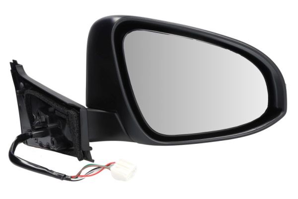 Blic Buitenspiegel 5402-19-1491319P