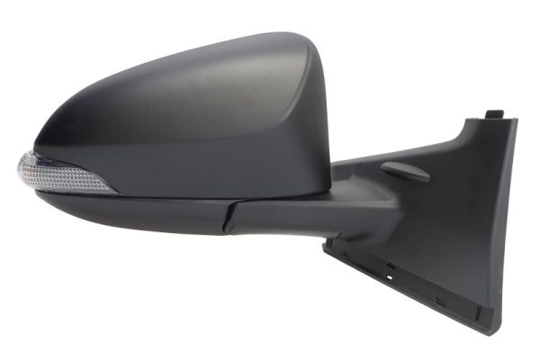 Blic Buitenspiegel 5402-19-1491319P