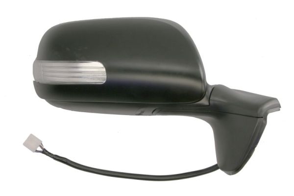 Blic Buitenspiegel 5402-19-2002445P