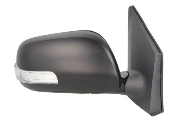 Blic Buitenspiegel 5402-19-2002474P