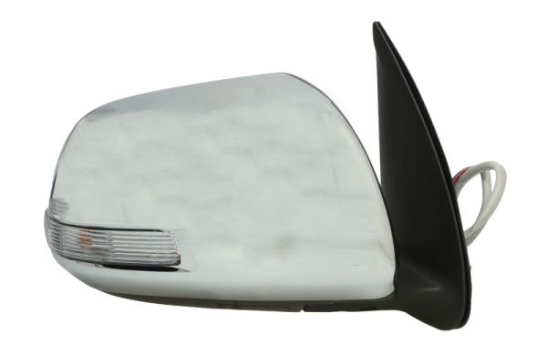 Blic Buitenspiegel 5402-19-2002490P