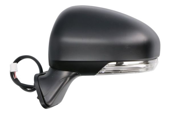 Blic Buitenspiegel 5402-19-2002509P