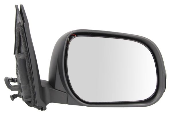 Blic Buitenspiegel 5402-19-2002530P