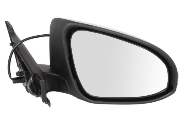 Blic Buitenspiegel 5402-19-2002554P