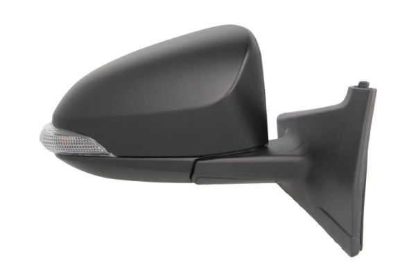 Blic Buitenspiegel 5402-19-2002558P