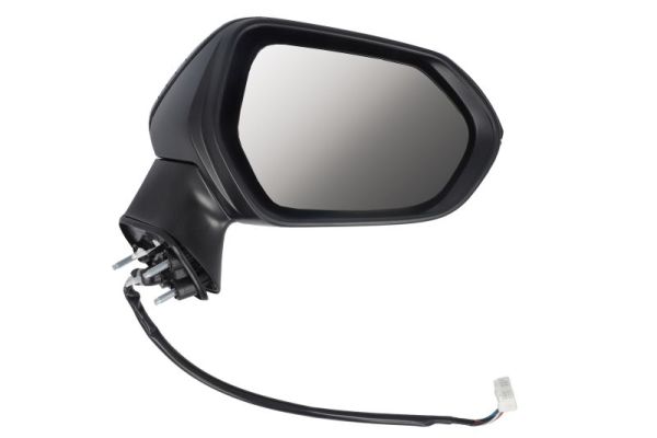 Blic Buitenspiegel 5402-19-2176313P