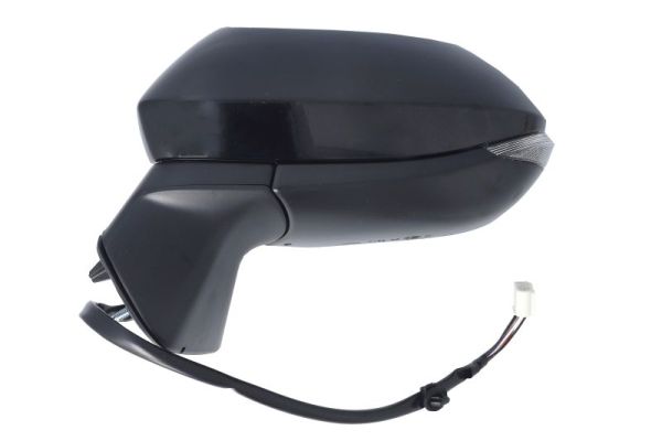 Blic Buitenspiegel 5402-19-2505310P