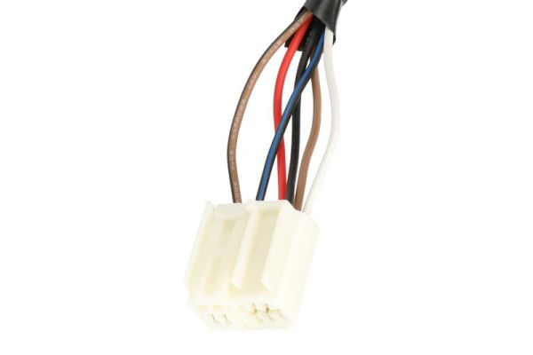 Blic Buitenspiegel 5402-19-2505311P