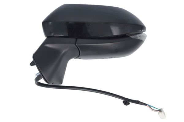 Blic Buitenspiegel 5402-19-2505312P