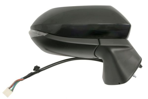 Blic Buitenspiegel 5402-19-2505315P