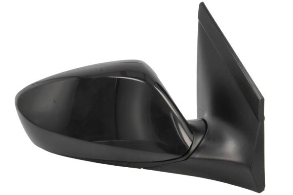 Blic Buitenspiegel 5402-20-0542311P