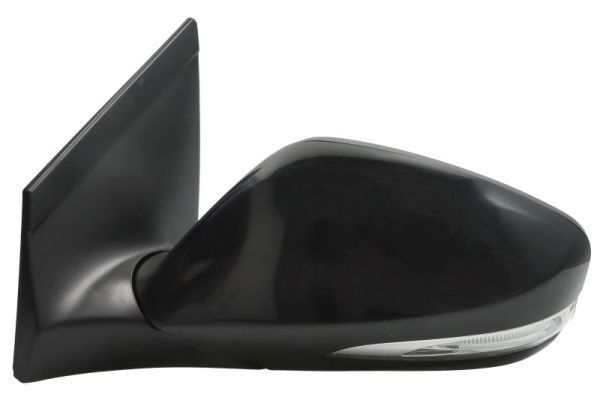 Blic Buitenspiegel 5402-20-0542312P