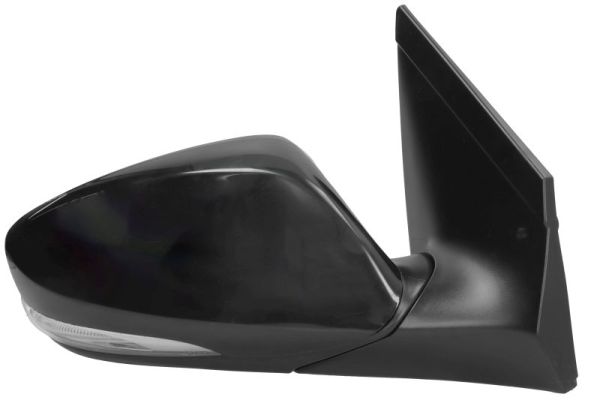 Blic Buitenspiegel 5402-20-0542313P