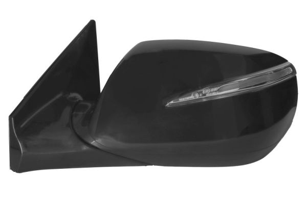 Blic Buitenspiegel 5402-20-0556310P