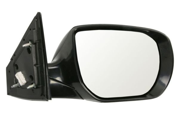 Blic Buitenspiegel 5402-20-0556311P