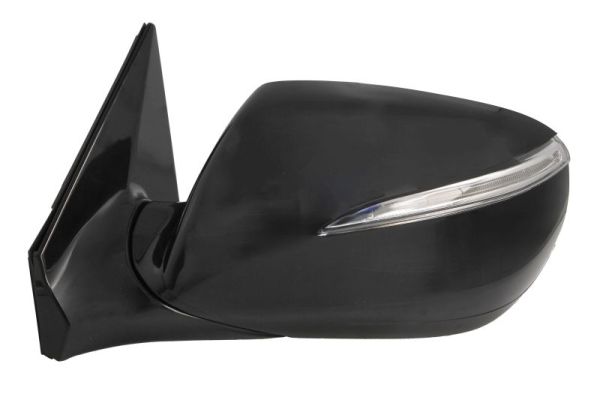 Blic Buitenspiegel 5402-20-0556312P