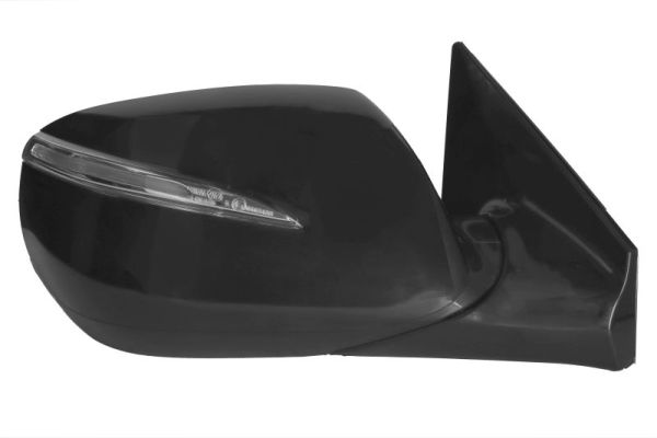 Blic Buitenspiegel 5402-20-0556313P