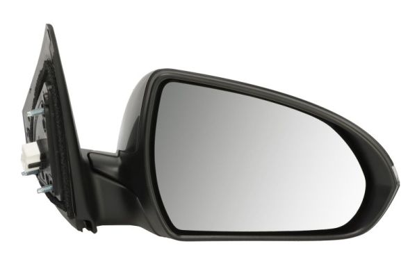 Blic Buitenspiegel 5402-20-1729313P