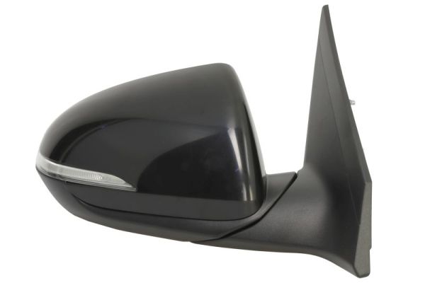 Blic Buitenspiegel 5402-20-1729313P