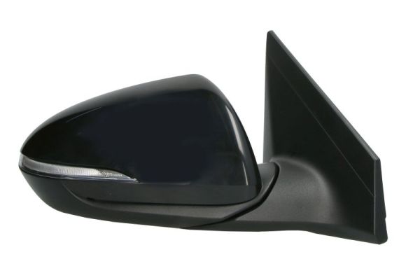 Blic Buitenspiegel 5402-20-1729315P