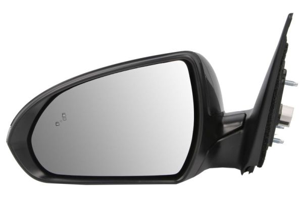 Blic Buitenspiegel 5402-20-1729316P