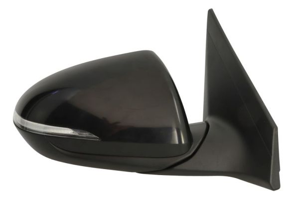 Blic Buitenspiegel 5402-20-1729317P