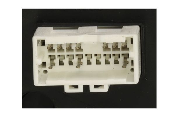 Blic Buitenspiegel 5402-20-1729317P