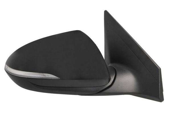 Blic Buitenspiegel 5402-20-1729319P