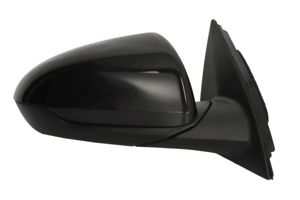 Blic Buitenspiegel 5402-20-1966311P