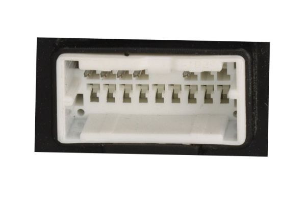 Blic Buitenspiegel 5402-20-1966311P