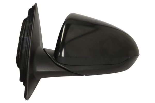 Blic Buitenspiegel 5402-20-1966312P