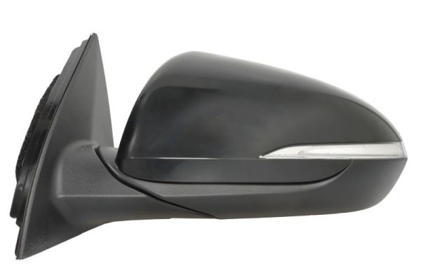 Blic Buitenspiegel 5402-20-1966314P