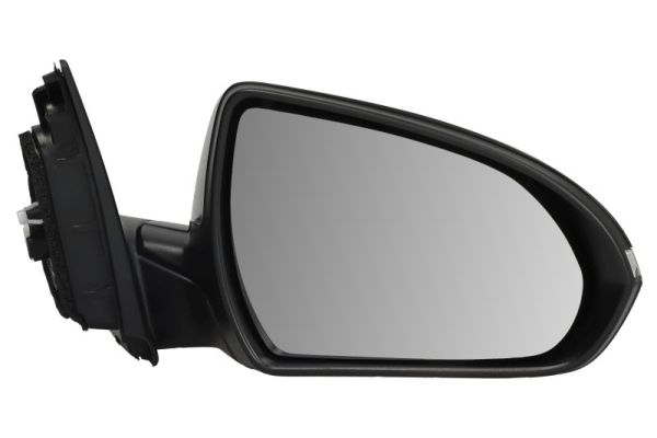 Blic Buitenspiegel 5402-20-1966315P