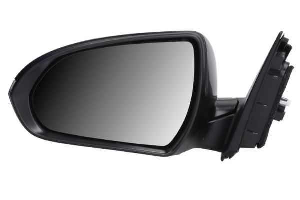 Blic Buitenspiegel 5402-20-1966316P