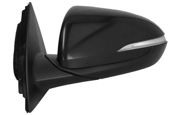 Blic Buitenspiegel 5402-20-1966316P