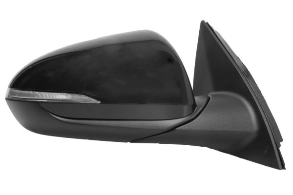 Blic Buitenspiegel 5402-20-1966317P