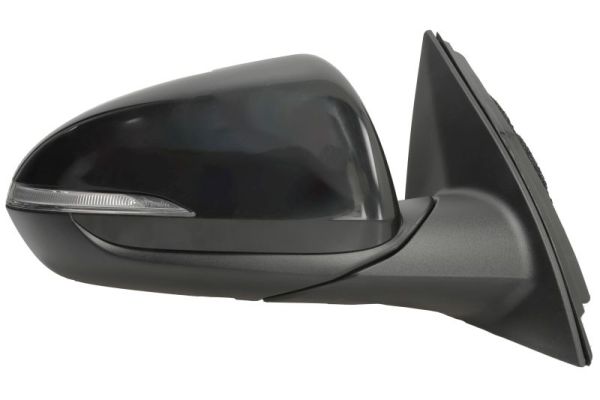 Blic Buitenspiegel 5402-20-1966321P