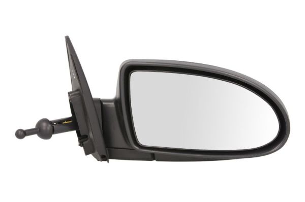 Blic Buitenspiegel 5402-20-2001356P