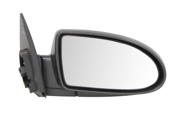 Blic Buitenspiegel 5402-20-2001358P