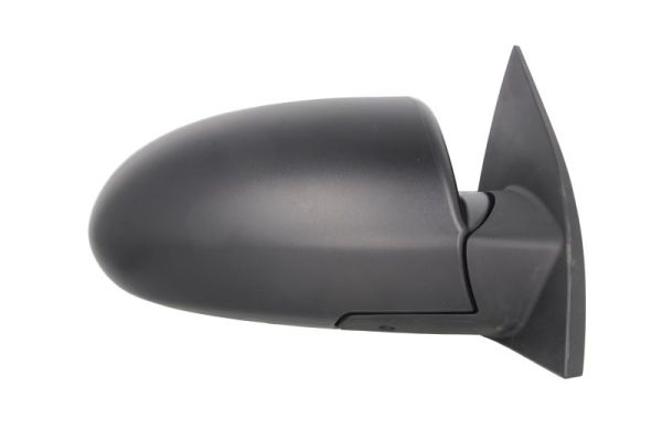 Blic Buitenspiegel 5402-20-2001358P