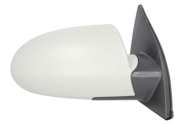 Blic Buitenspiegel 5402-20-2001360P