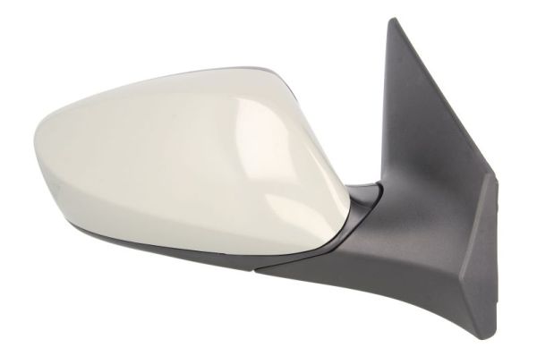 Blic Buitenspiegel 5402-20-2001372P