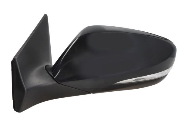 Blic Buitenspiegel 5402-20-2001373P